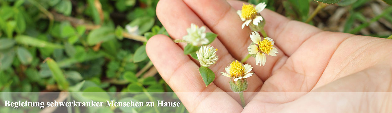 Hand hält kleine weiße und gelbe Blüten vor grünem Pflanzenhintergrund mit Text 'Begleitung schwerkranker Menschen zu Hause'